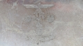 Silver plate of the 7th Infantry Regiment with silver glasses
